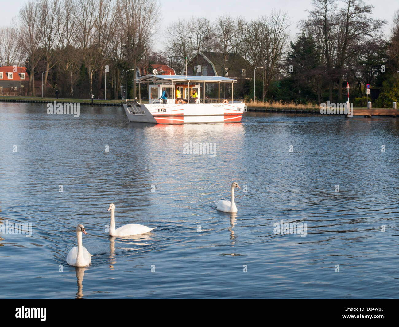 eine solar betriebene Fähre überquert einen Fluss an einem sonnigen Wintertag mit Schwänen im Vordergrund Stockfoto