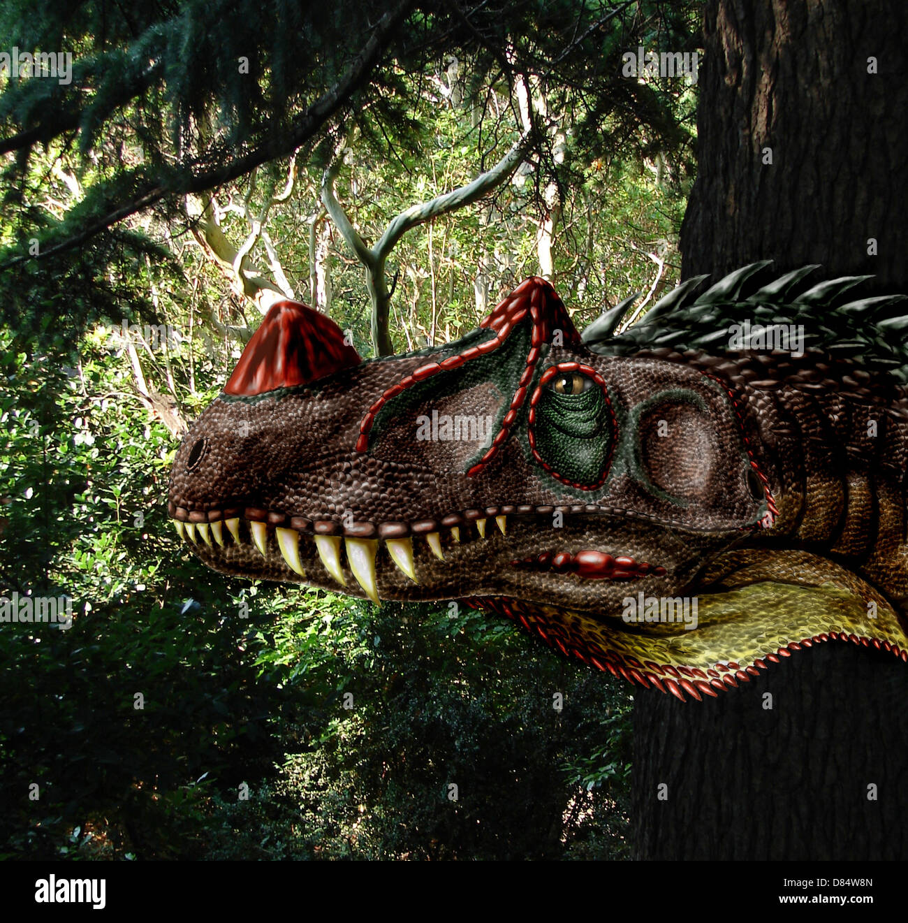 Ceratosaurus Magnicornis von der späten Jurazeit. Stockfoto