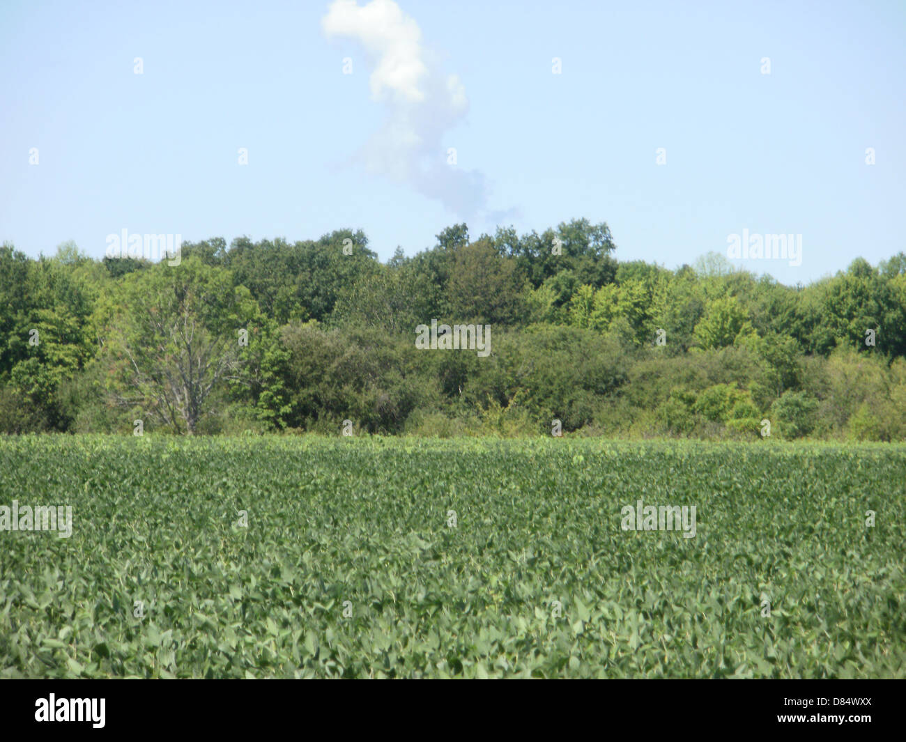 Feld mit Dampf aus einem Kernkraftwerk Stockfoto