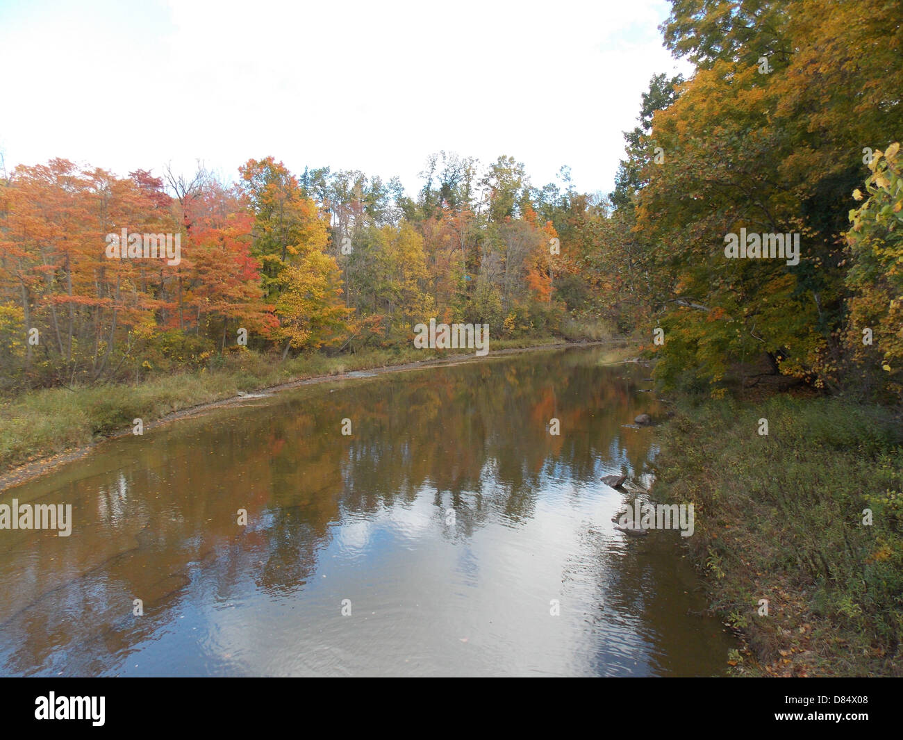 Fluss-Szene im Nordosten Ohios im Herbst Stockfoto