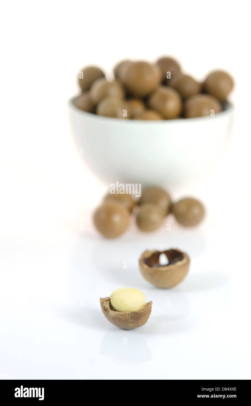 Nahaufnahme von geschälten Macadamia und UN-geschält Macadamia in Schale auf weißem Hintergrund Stockfoto