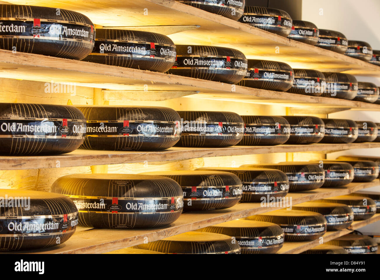 Käse in einem Käseladen in Amsterdam, Niederlande. Stockfoto