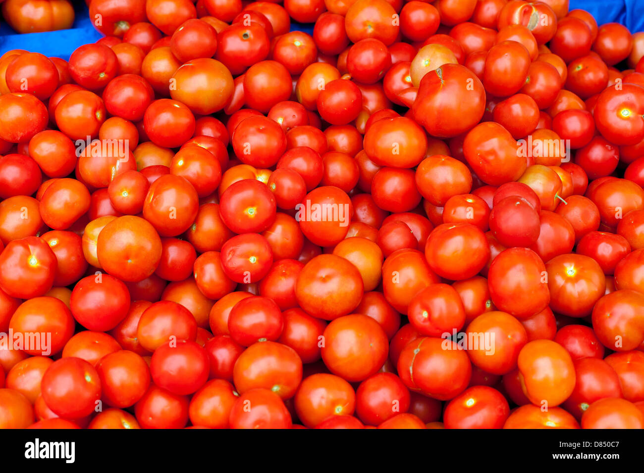 Anzeige von Tomaten auf dem Markt Stockfoto