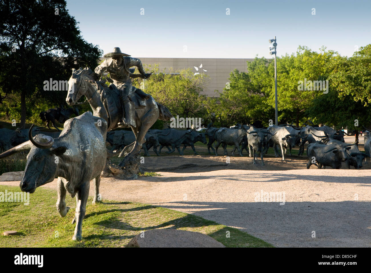 Ein Blick auf die Pioneer Plaza Cattle Drive-Skulptur in Dallas, Texas Stockfoto