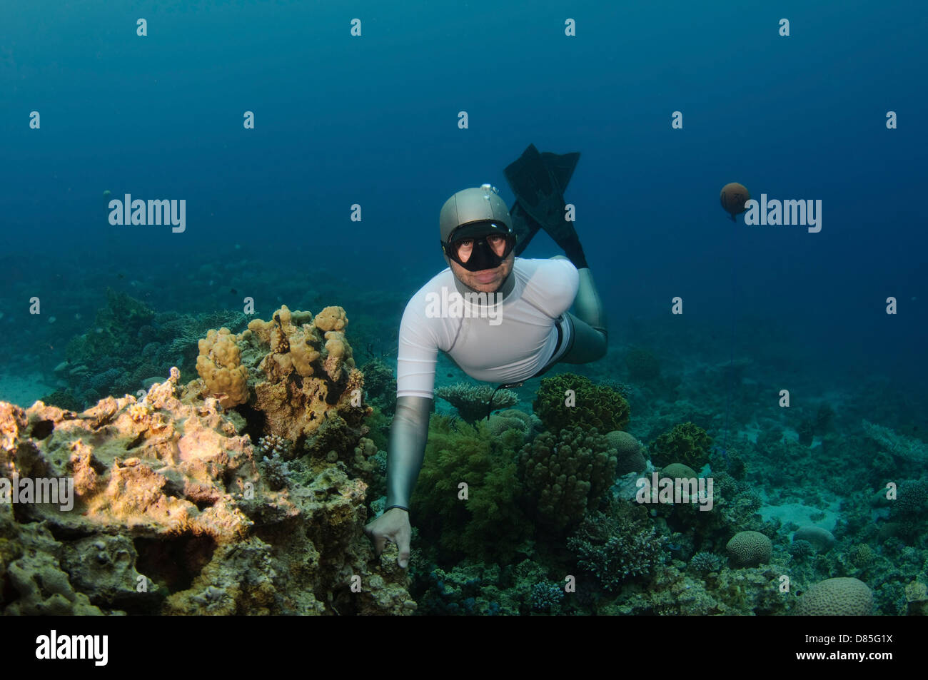 Freediver unter Wasser im Roten Meer. Fotografiert in Aqaba, Jordanien. Model-Release zur Verfügung. Stockfoto