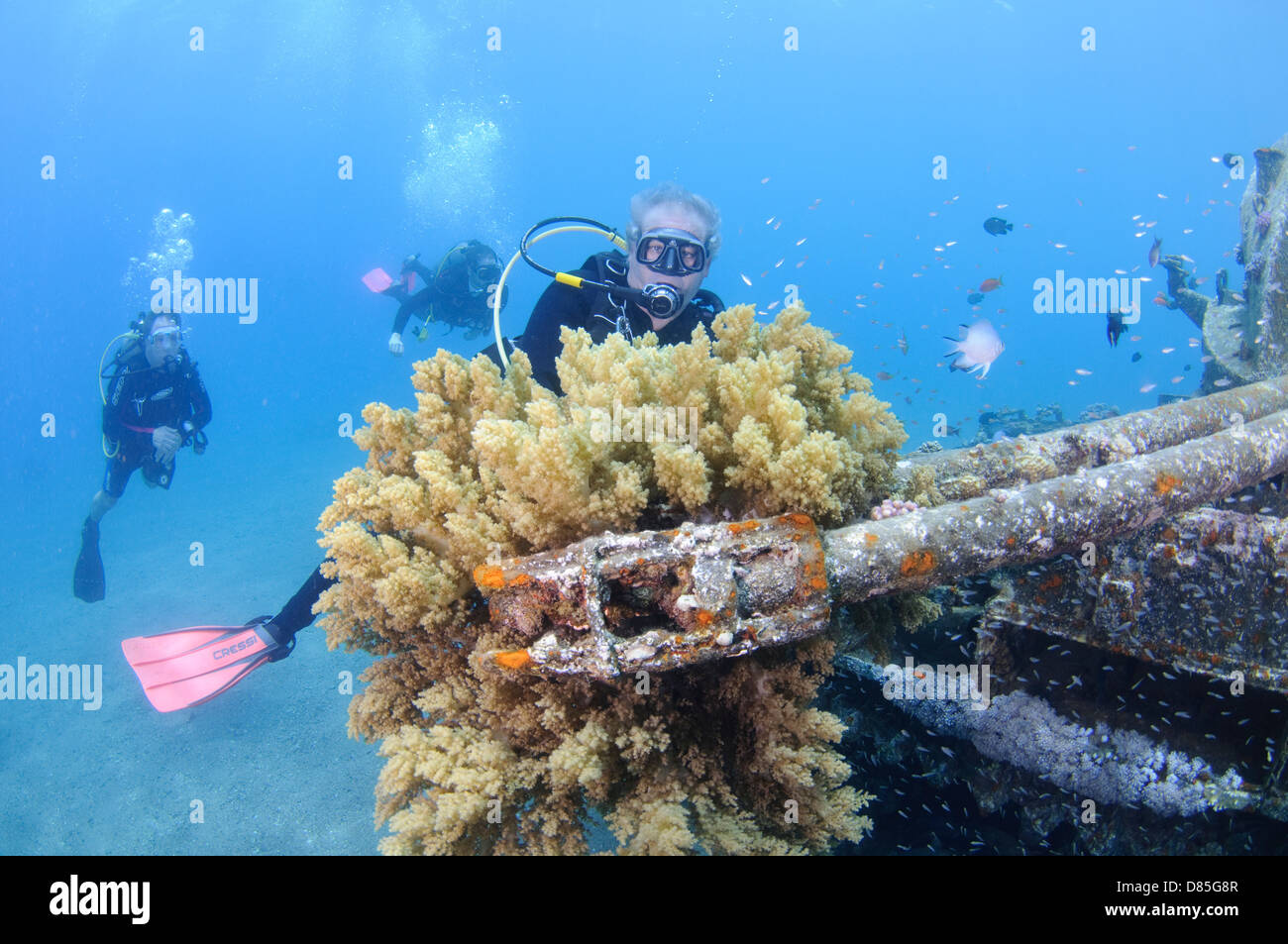 Taucher in einem versunkenen Tank Weg von den Kosten von Aqaba, Rotes Meer-Jordanien Stockfoto