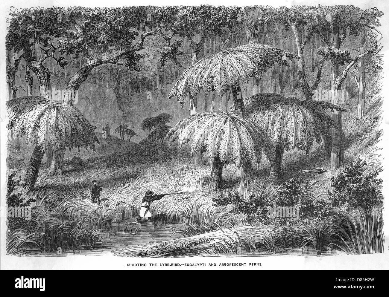 DIE LANDSCHAFT AUSTRALIENS Stockfoto