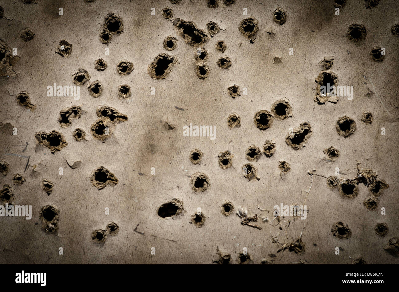 Bullet holes Fotos und Bildmaterial in hoher Auflösung Alamy