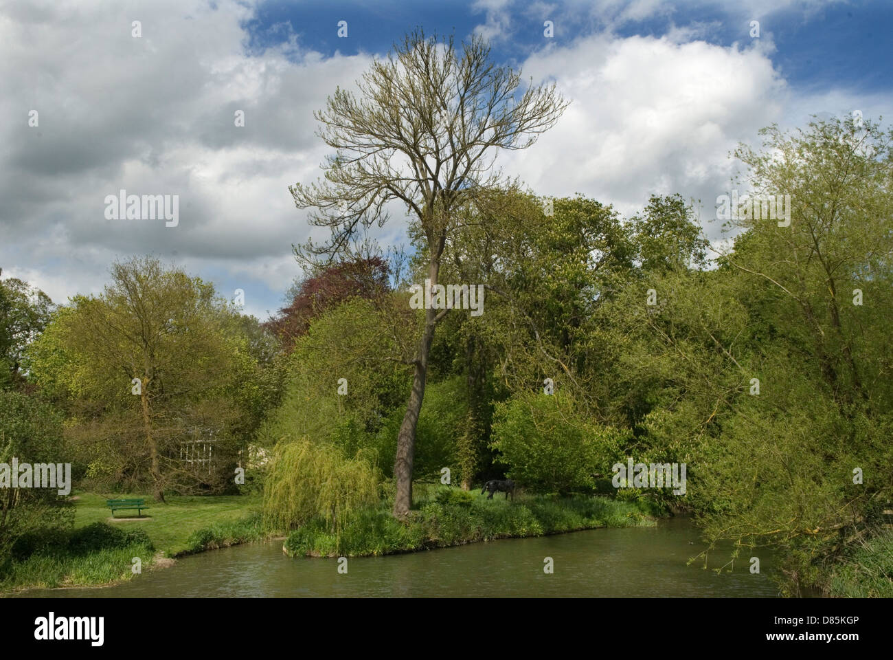 Grantchester Cambridgeshire UK die Insel Old Mill Pond ist Schauplatz von Sommerpartys, die Lord und Lady Archer auf ihrem Gelände von Old Vicarage veranstalten. England 2013 2010er Jahre UK HOMER SYKES Stockfoto