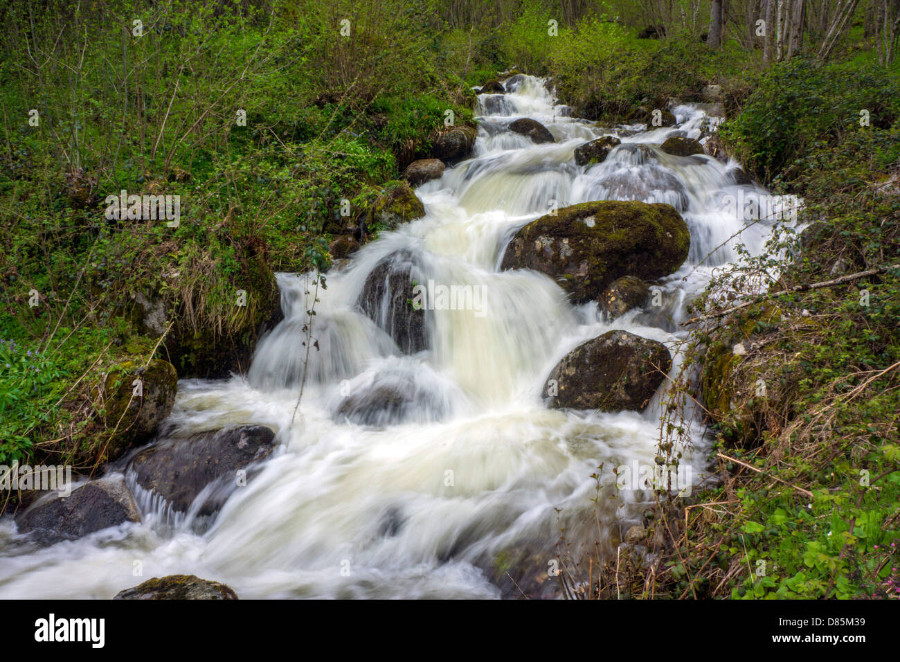 Kaskaden-Wasserfälle im Fluss fließt durch Wald Stockfoto
