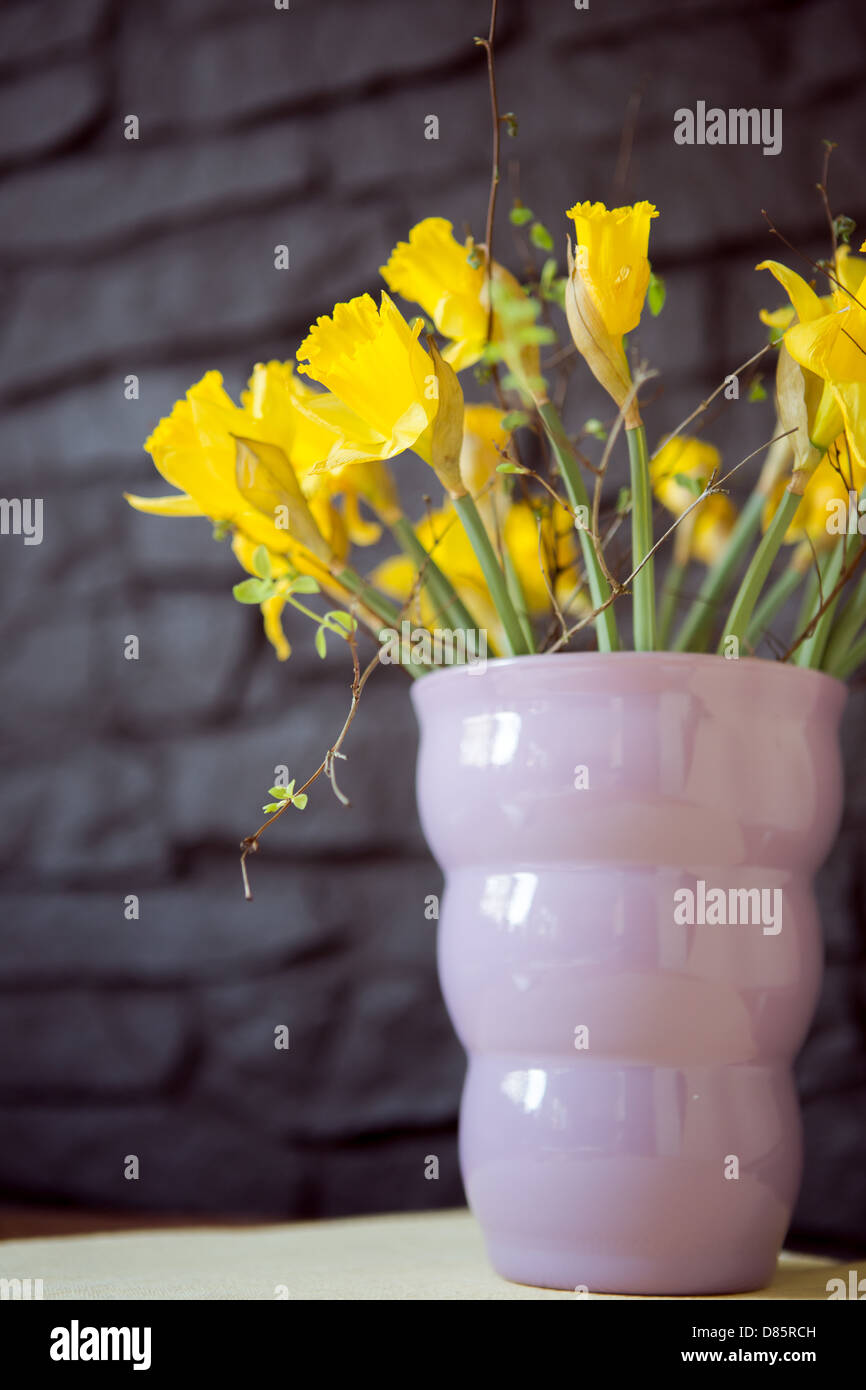 Narzissen-Blüte (Narzissen) in einer Vase auf dem Tisch Stockfoto