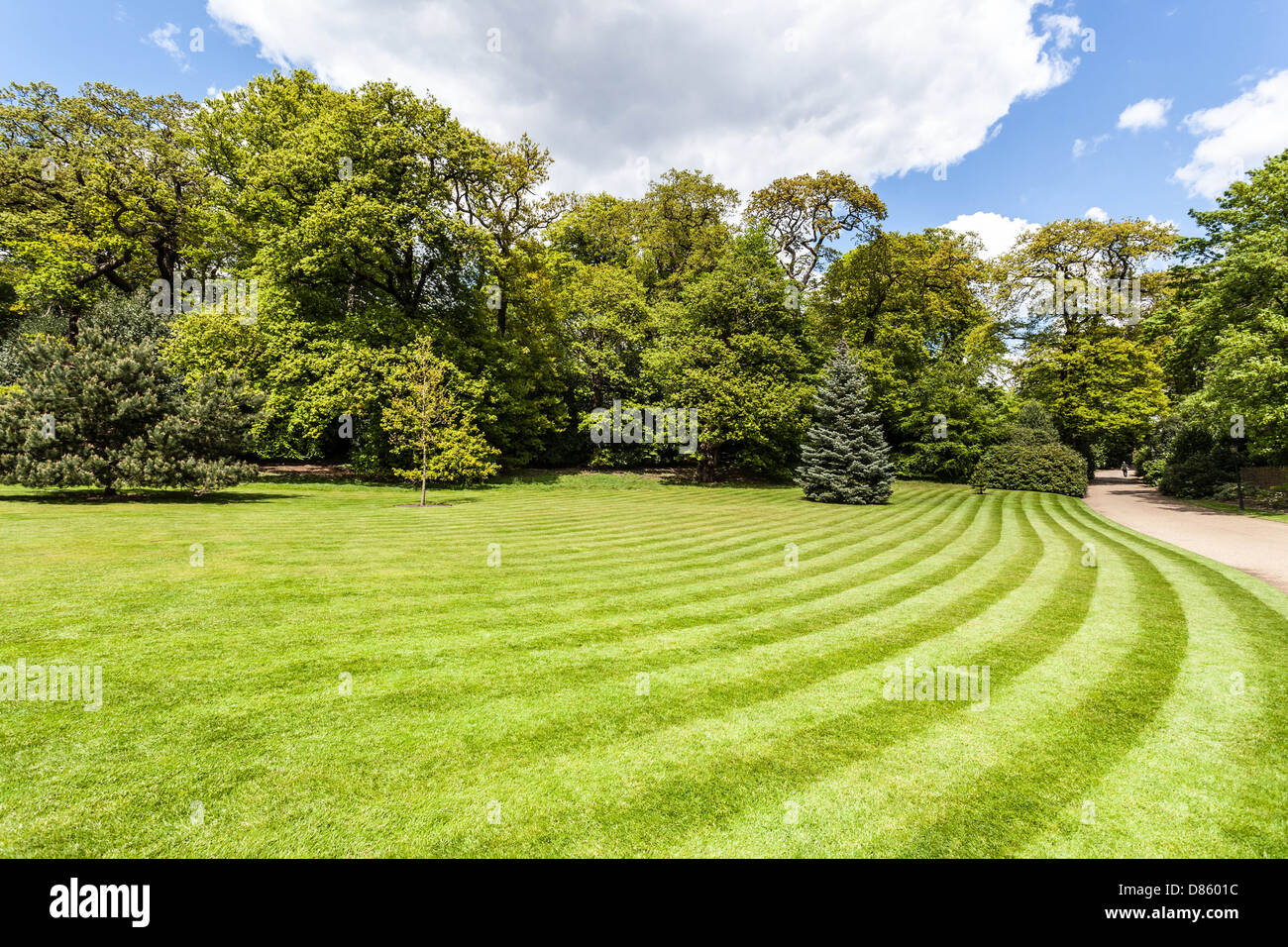 Grüne Wiese mit gemähten Streifen, Hampstead Heath, London, England, UK Stockfoto