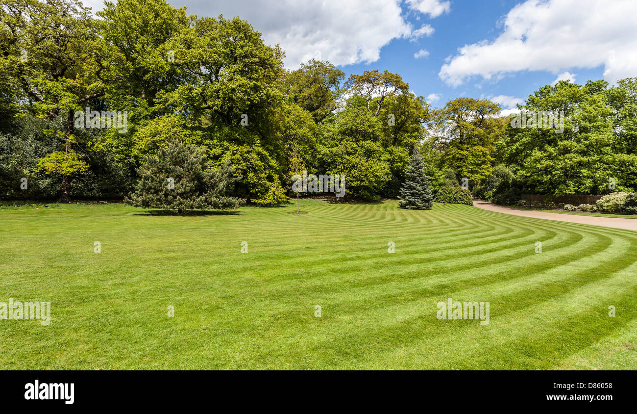 Grüne Wiese mit gemähten Streifen, Hampstead Heath, London, England, UK Stockfoto