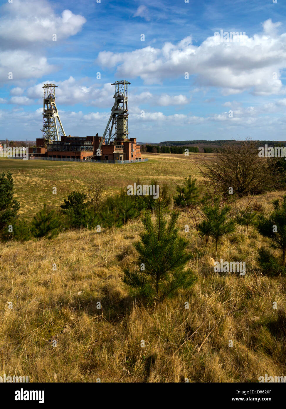 Clipstone Zeche in Nottinghamshire England UK welche geschlossen in 2003 die Puppen aufgeführt sind kilometerweit sichtbaren Strukturen Stockfoto