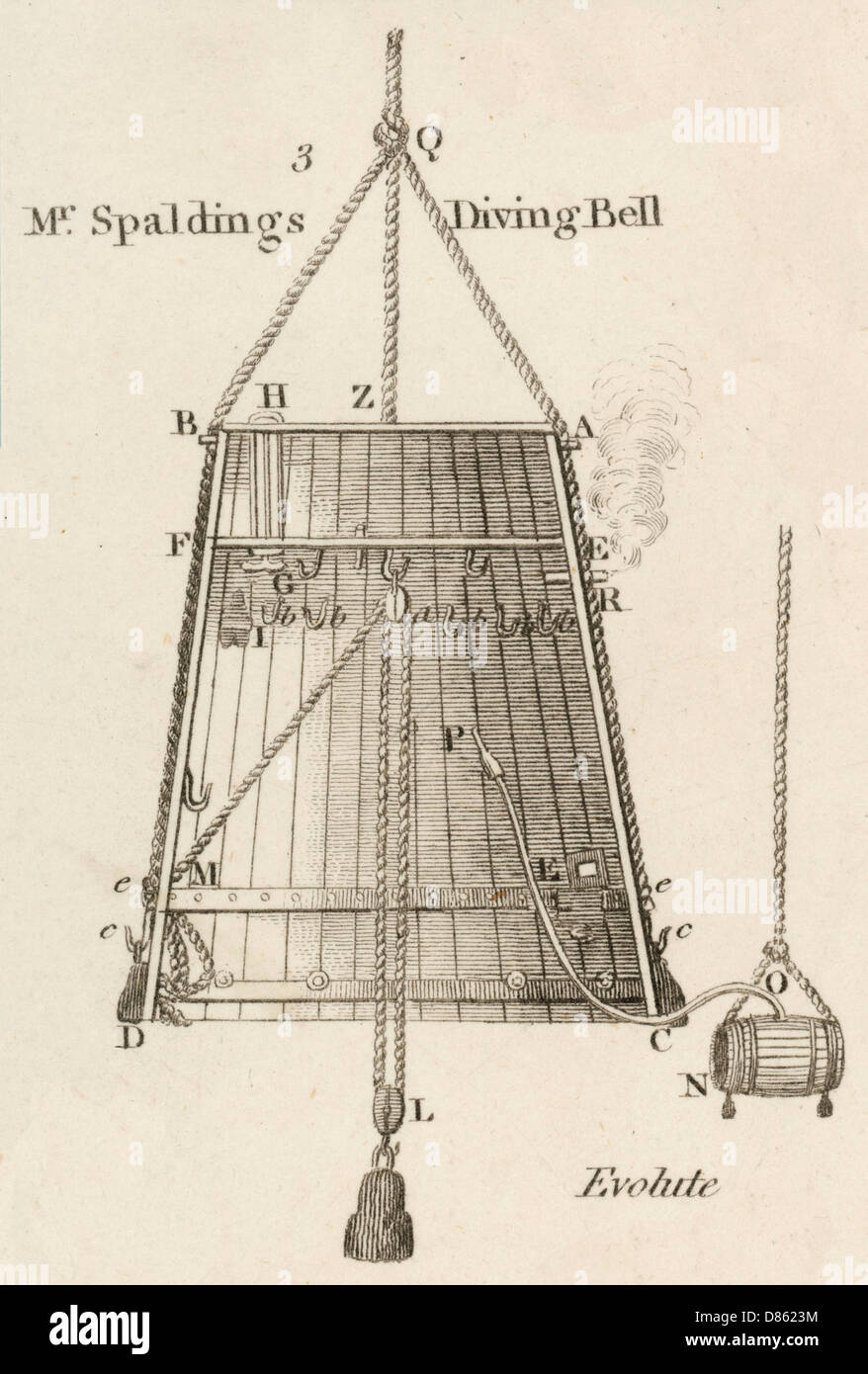 Spaldings Glockenquerschnitt Stockfoto