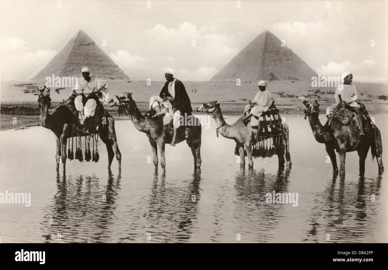 Kamele und Fahrer in der Nähe der Pyramiden Ägyptens Stockfoto