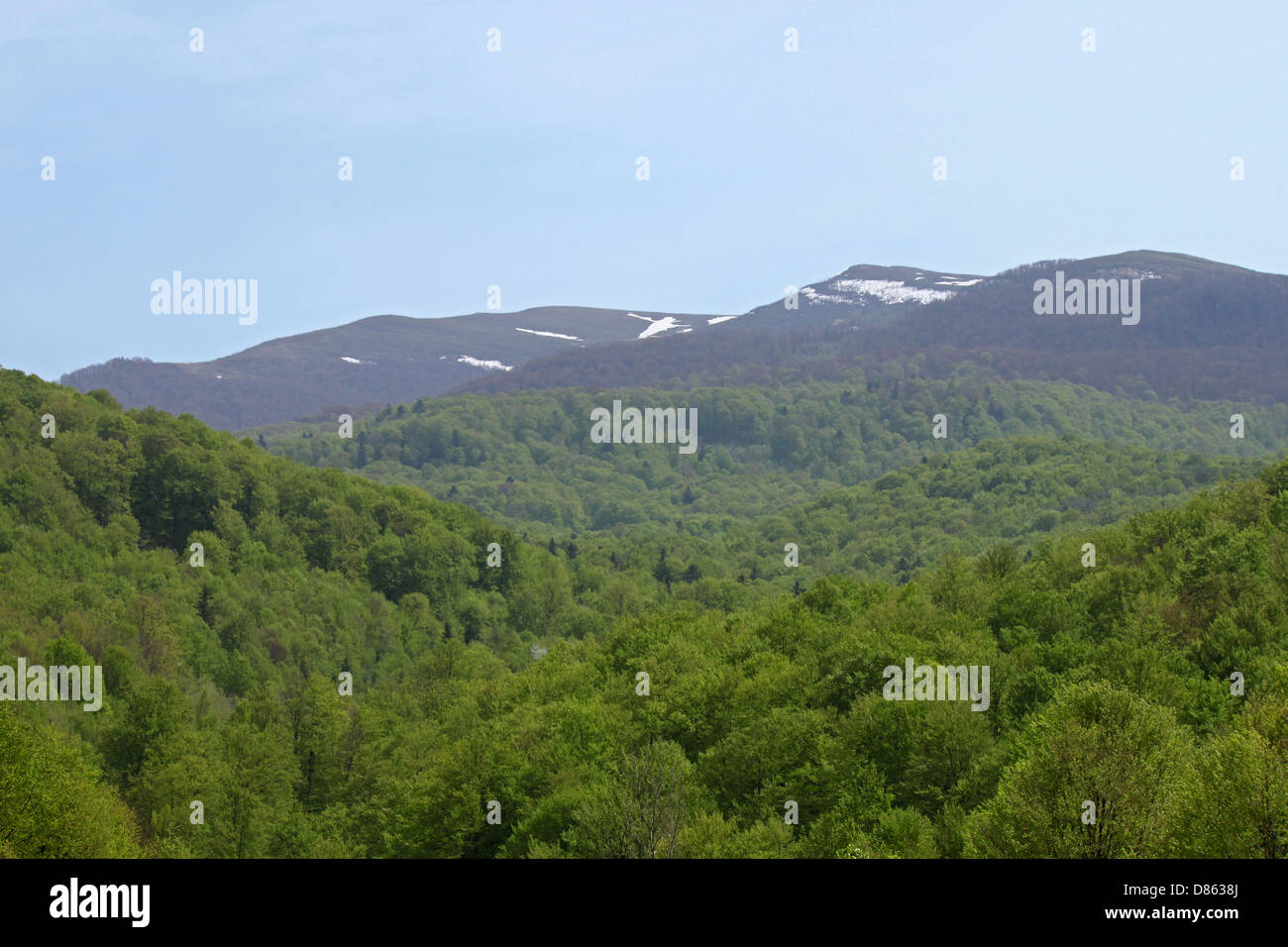 Karpaten Landschaft im Frühling Stockfoto