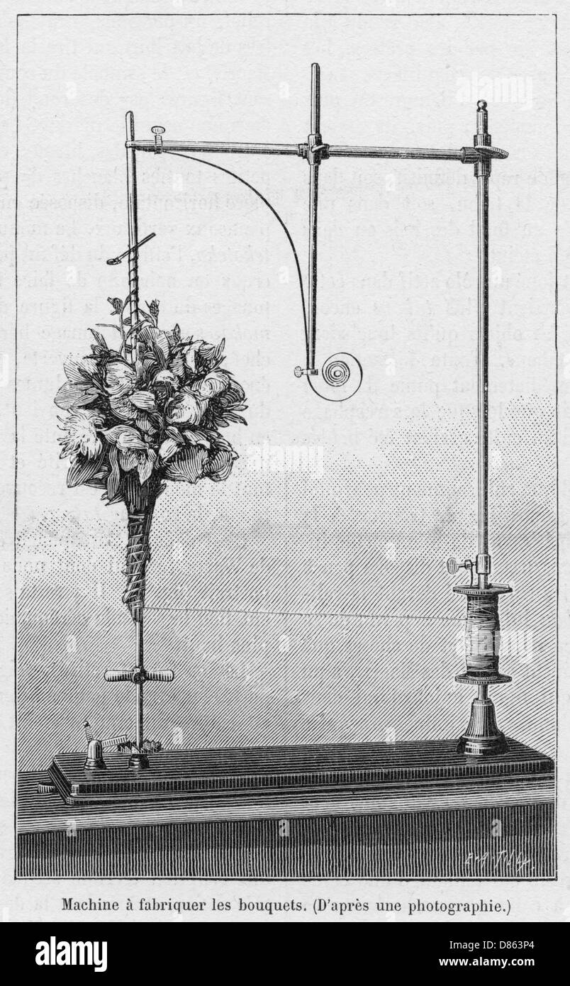 Blumenhandgerät zur Befestigung von Blumensträußen Stockfoto