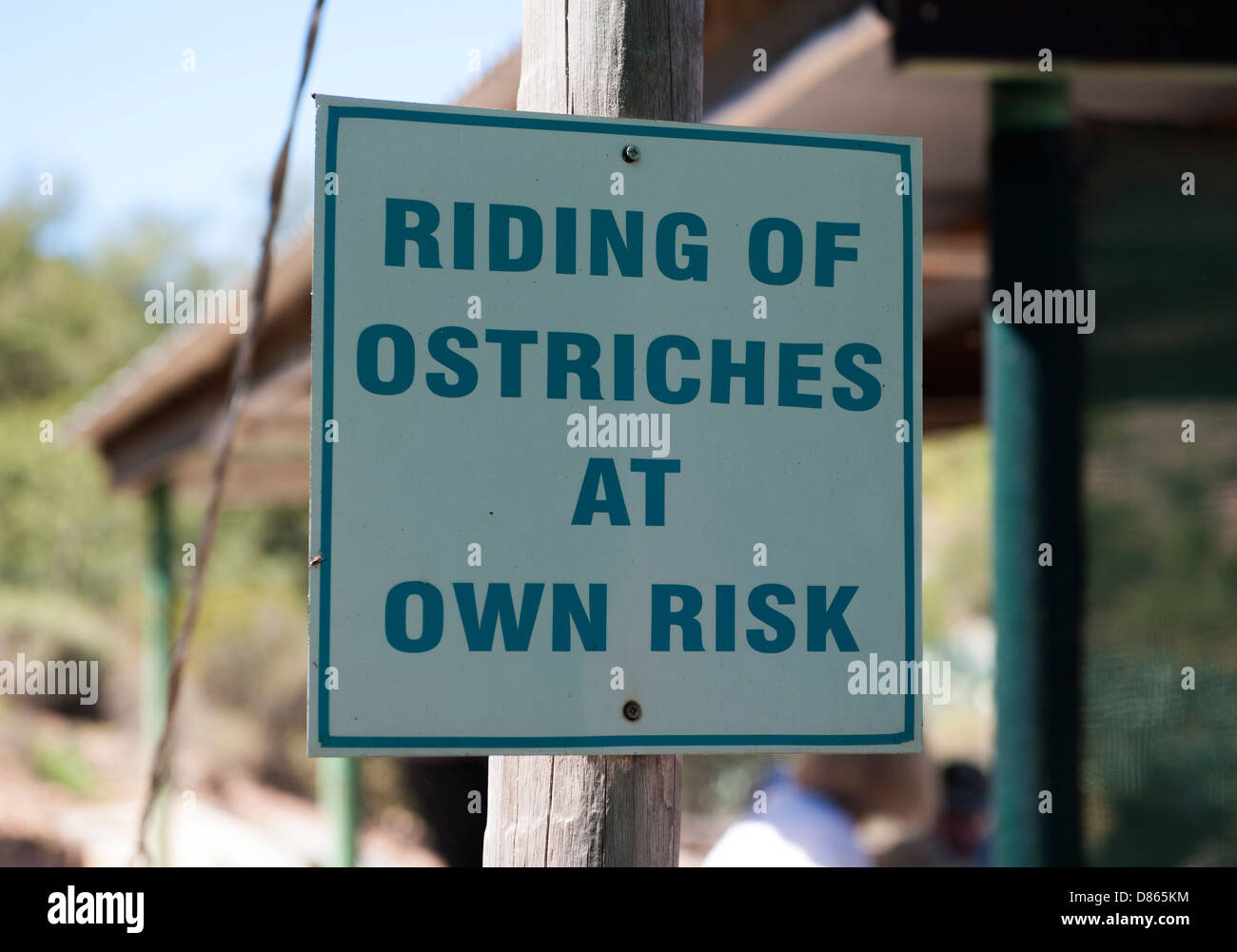 Zeichen auf einer Straussenfarm in Oudtshoorn, Klein Karoo, Western Cape, South Africa, Warnung vor den Gefahren des Reitens ein Strauß Stockfoto
