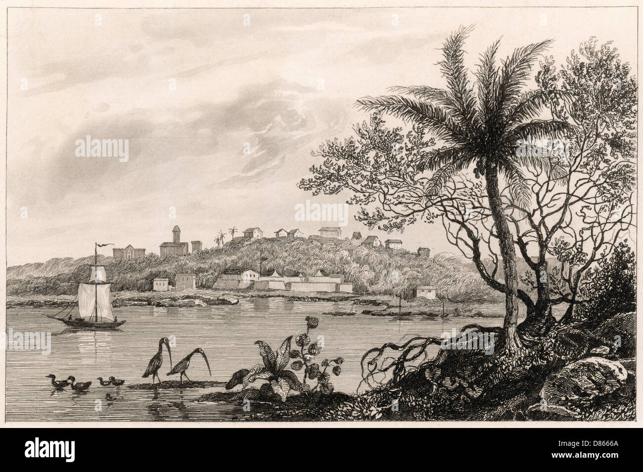 Die Stadt und das Schloss Frederyca in Paraiba, Brasilien Stockfoto
