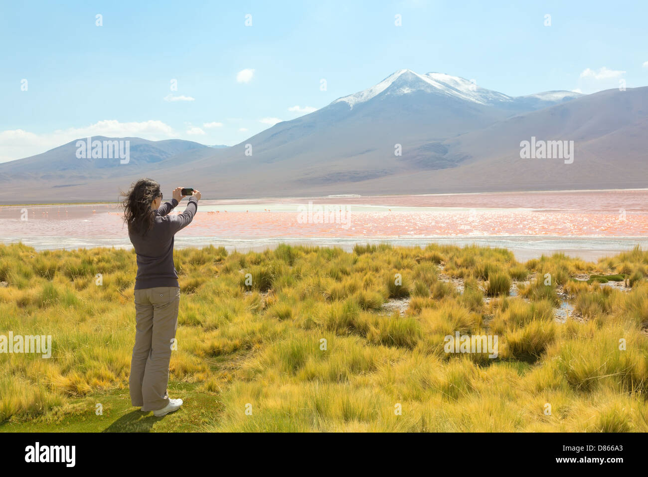 Mädchen, die Bilder auf dem Handy Stockfoto