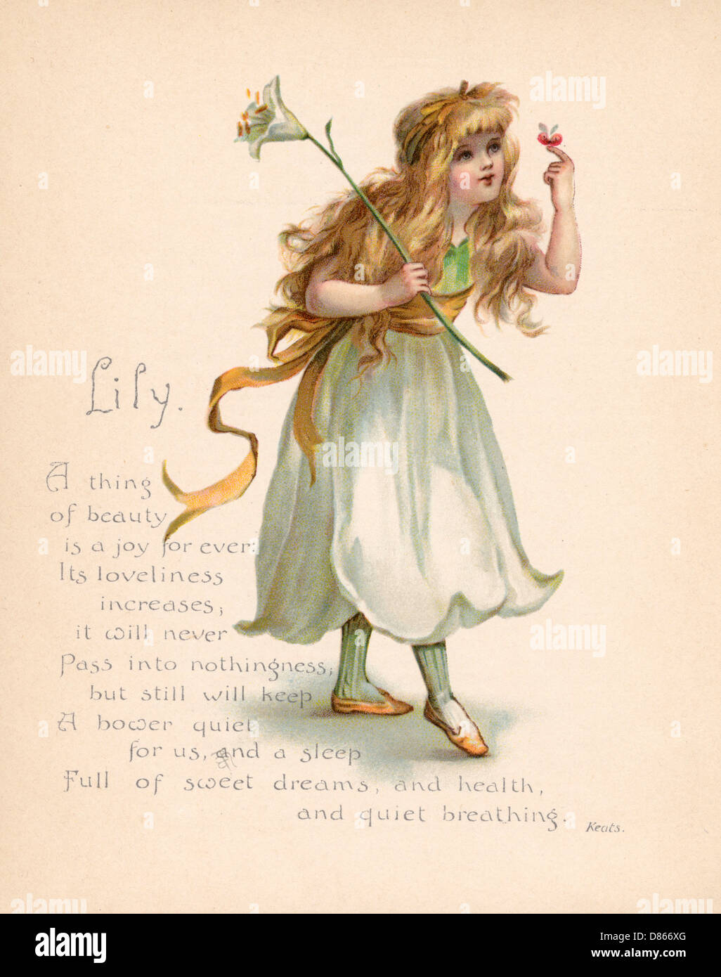 Lily / „Sprache der Blumen“ Stockfoto