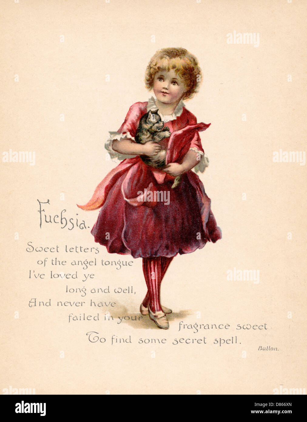 Fuchsia / „Sprache der Blumen“ Stockfoto