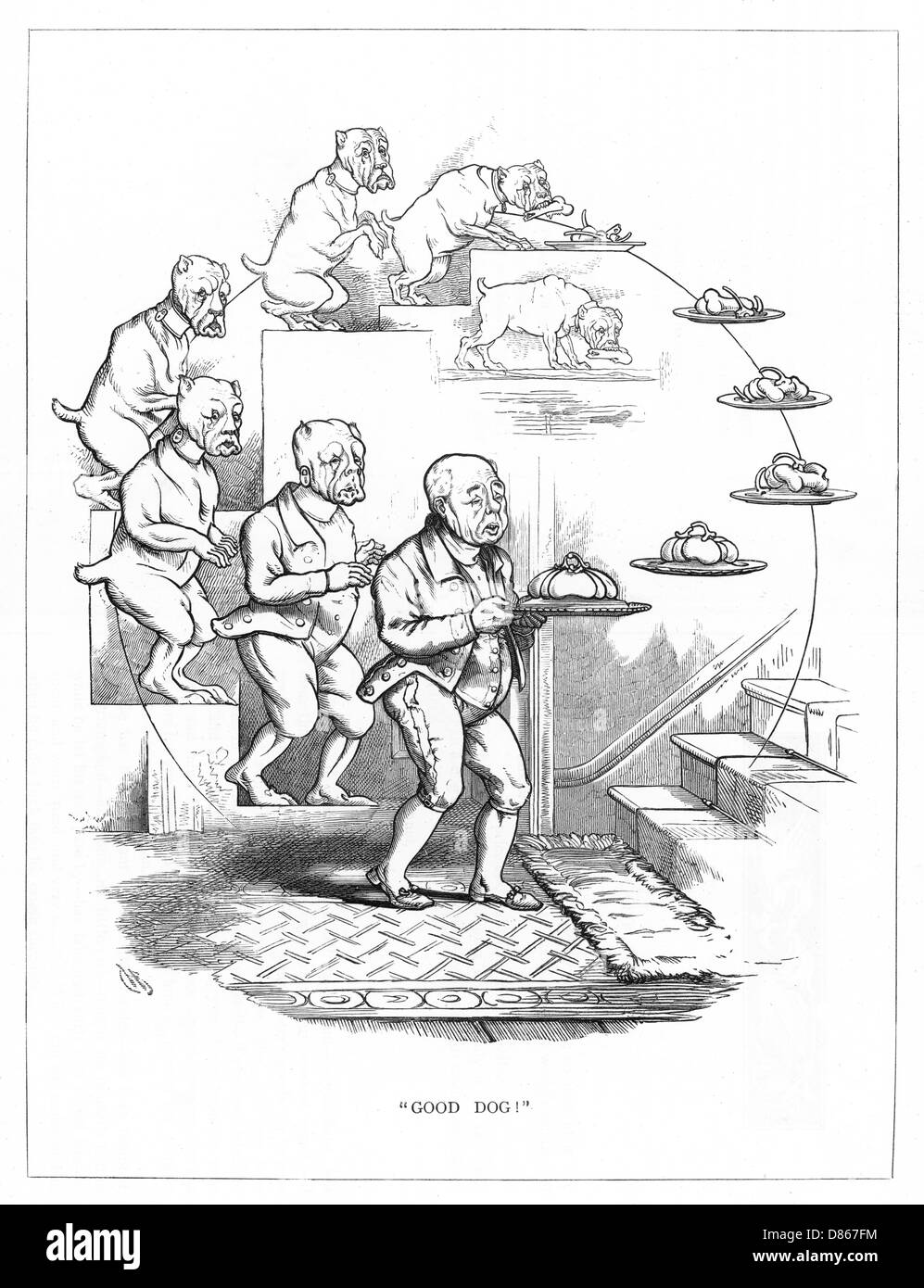 Herkunft Spezies, CH Bennett, Hund - Diener Stockfoto