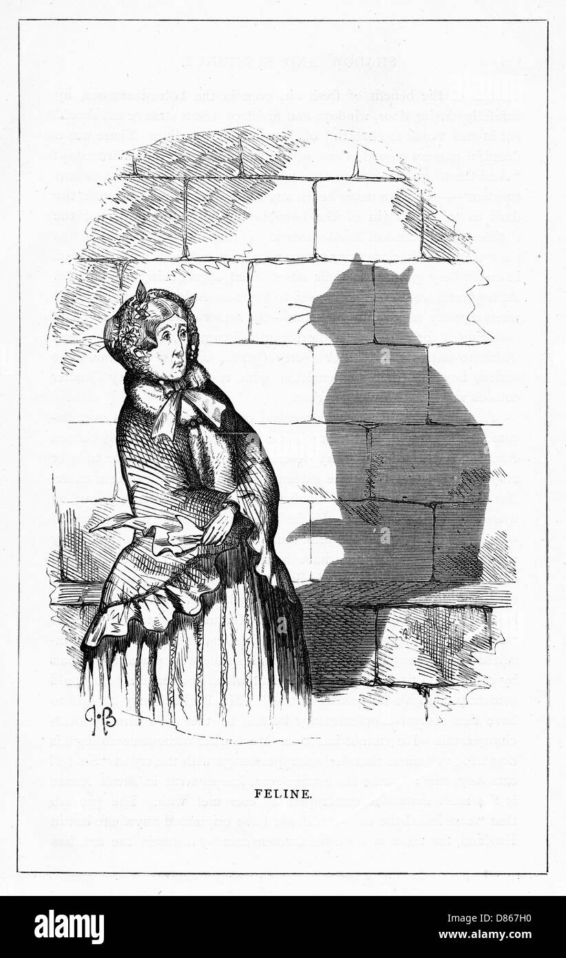 Schattenzeichnung. C.H. Bennett, Feline Stockfoto