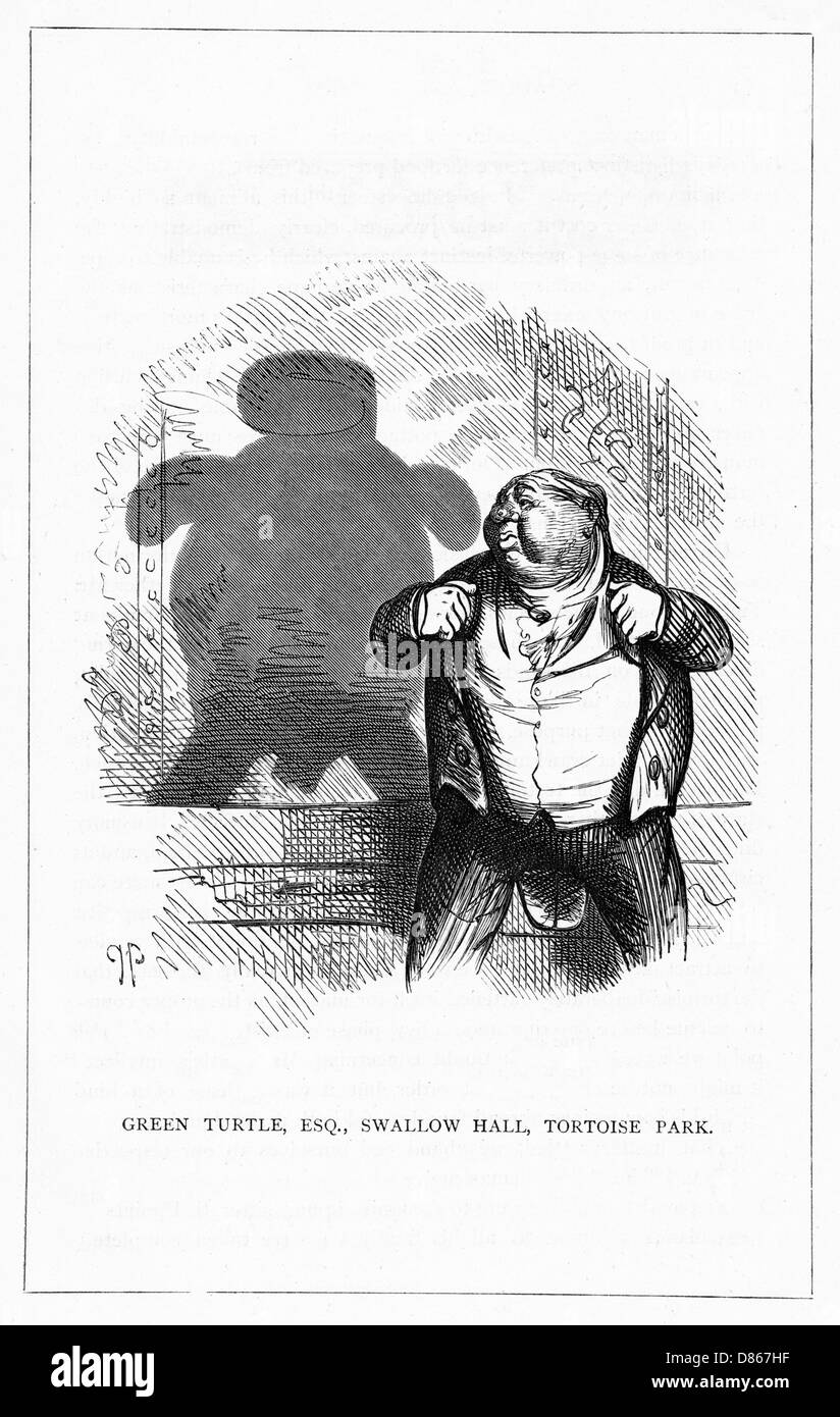 Schattenzeichnung. C.H. Bennett, Grüne Schildkröte Stockfoto