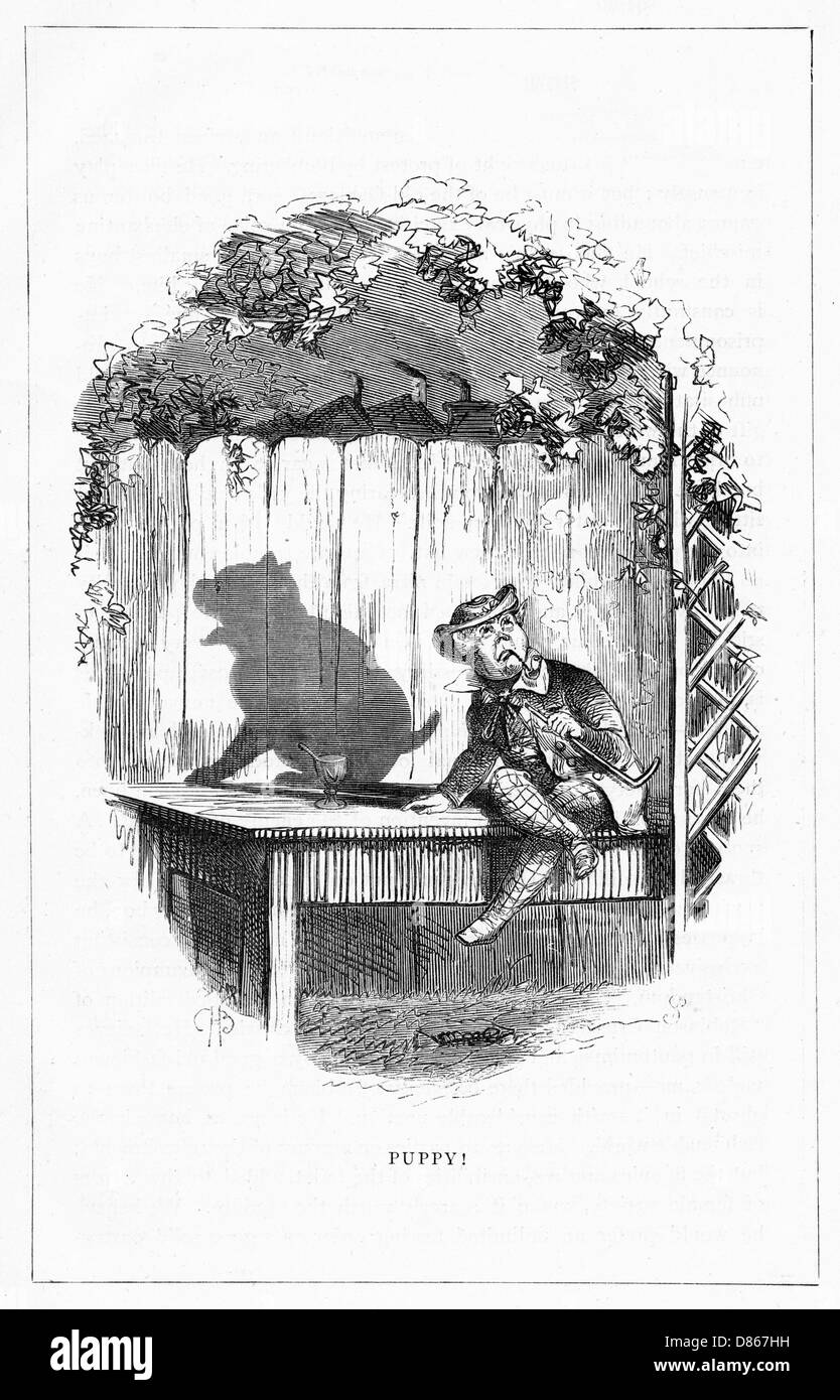 Schattenzeichnung. C.H. Bennett, Hündchen Stockfoto