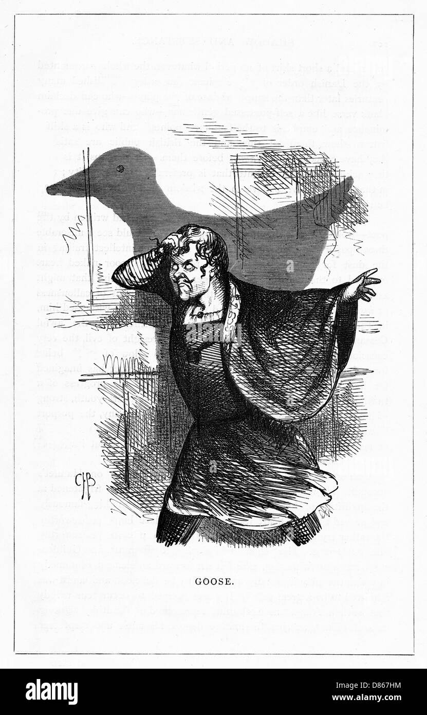 Schattenzeichnung. C.H. Bennett, Goose Stockfoto