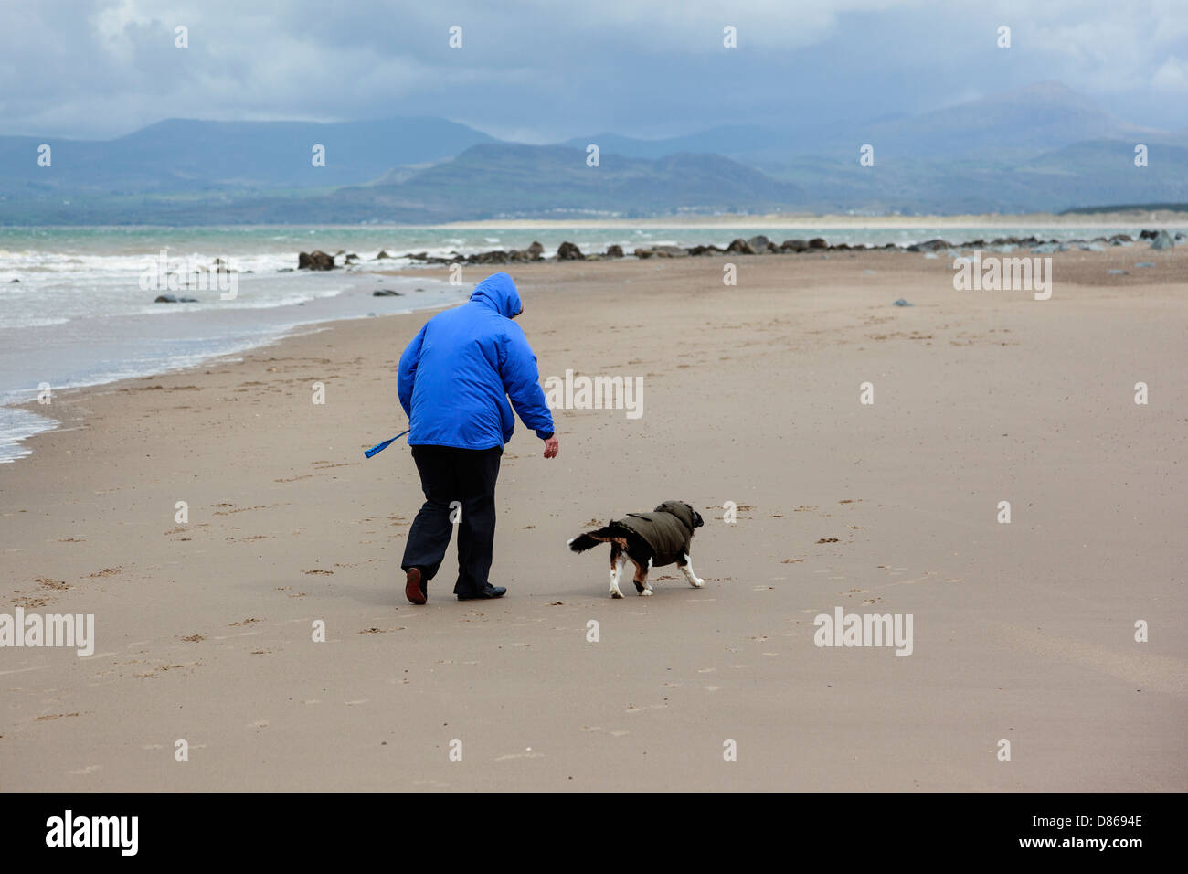 Einsamer Wanderer mit Hund am einsamen Strand von Barmouth an einem kalten, windigen bewölkten Tag.  Beide sind warme Mäntel mit Kapuzen tragen. Stockfoto