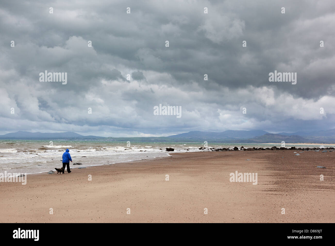 Einsamer Wanderer mit Hund am einsamen Strand von Barmouth an einem kalten, windigen bewölkten Tag Stockfoto