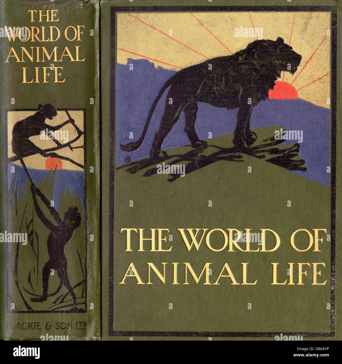 Titelseite des Buchs „The World of Animal Life“ Stockfoto