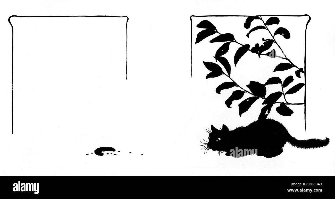 Katze unter Lorbeerstrauch, schaut auf die Kruste Stockfoto