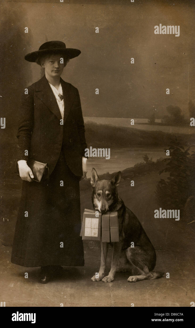 Frau und Hund im Fotografen-Studio Stockfoto