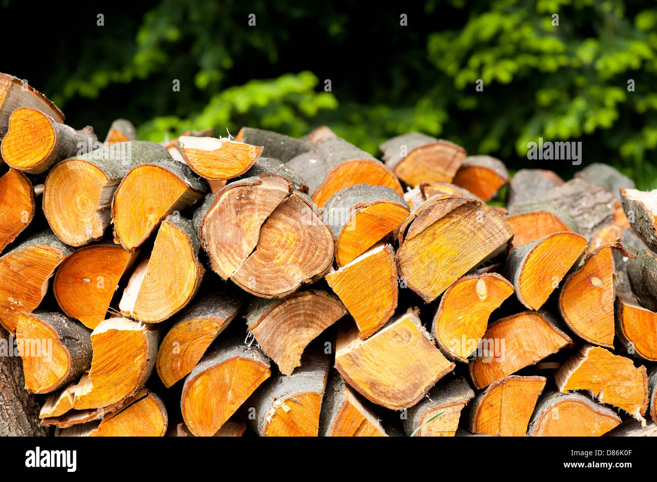Viele Erlen protokolliert Holz Split heap Stockfoto