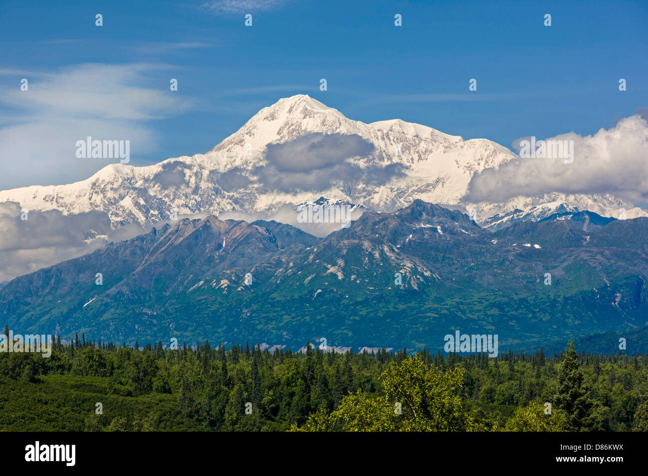 Blick vom nördlich von Alaska Range und Denali Berg (Mt. McKinley) "Denali Sicht Süd" George Parks Highway 3, Alaska, USA Stockfoto
