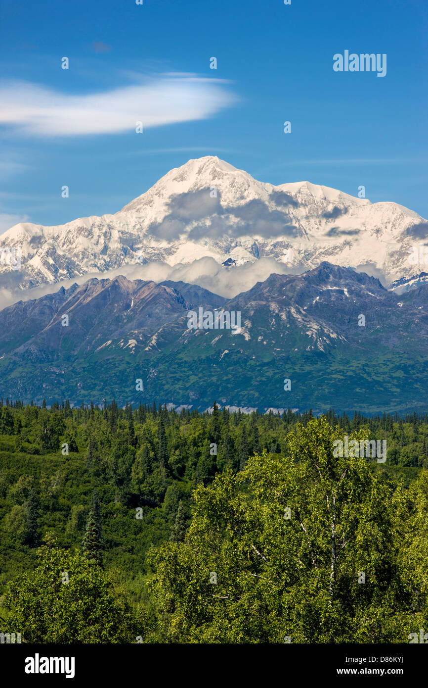 Blick vom nördlich von Alaska Range und Denali Berg (Mt. McKinley) "Denali Sicht Süd" George Parks Highway 3, Alaska, USA Stockfoto