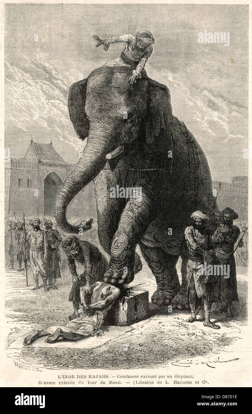 TOD DURCH ELEFANTEN Stockfoto