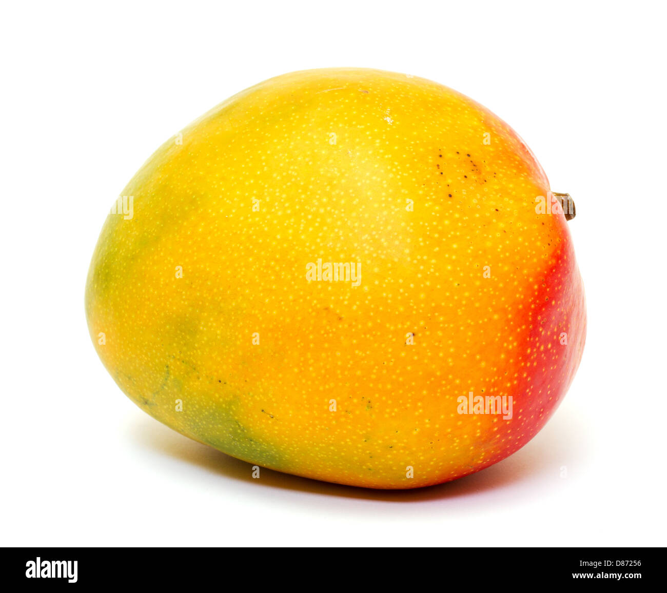 Reife Mango isoliert auf weißem Hintergrund Stockfoto