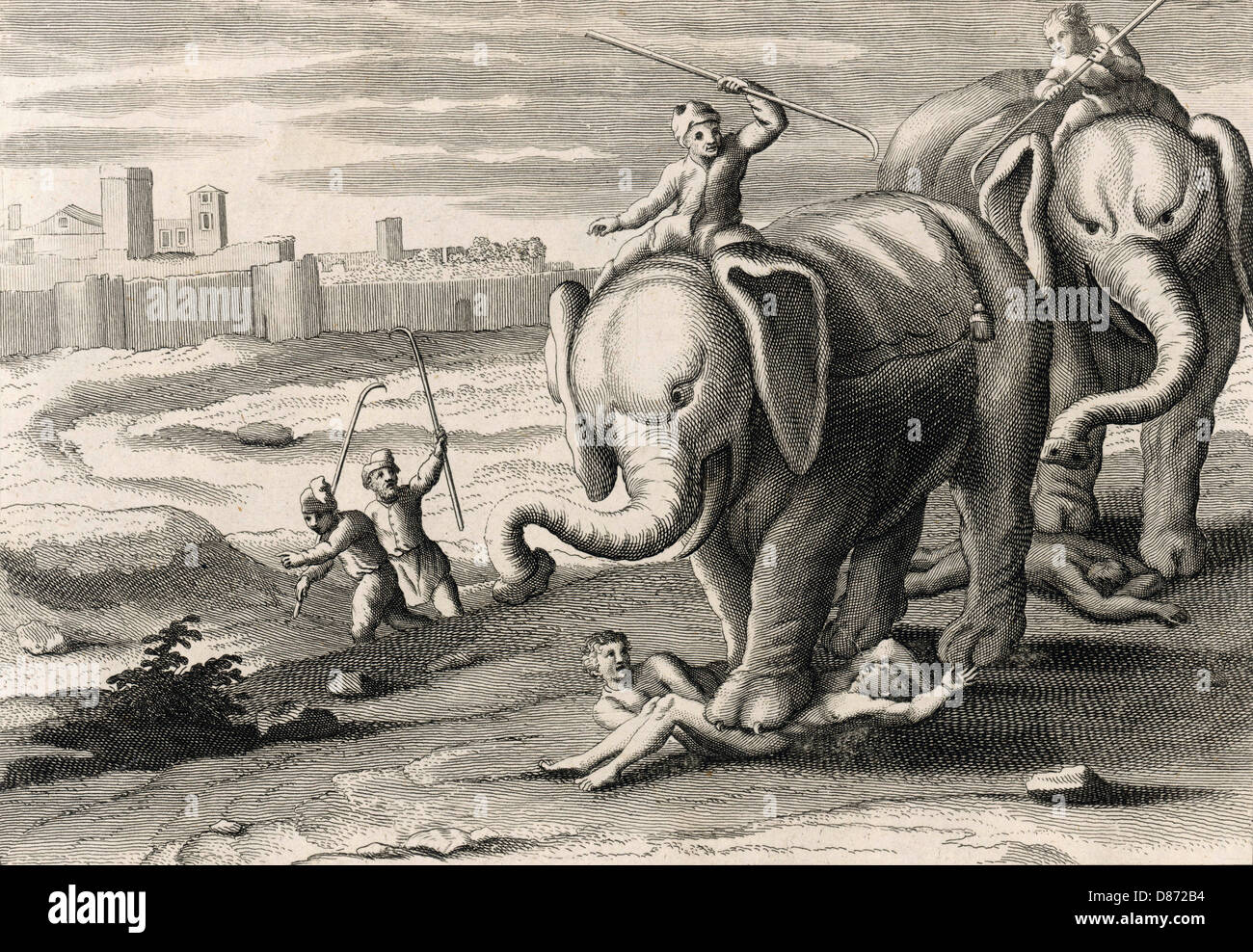 MÄNNER/ELEFANTEN ZERTRAMPELN Stockfoto