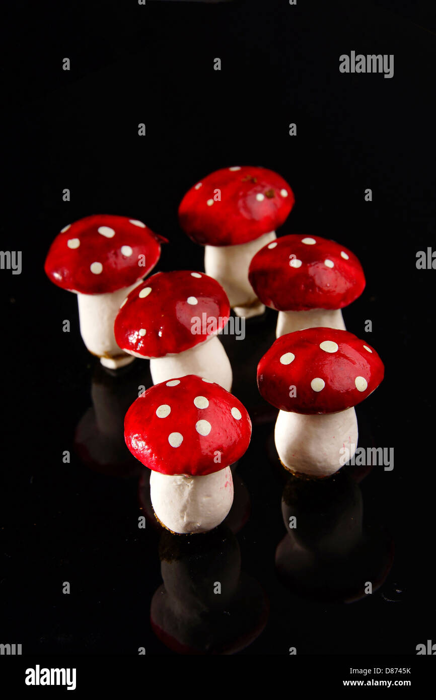 Miniaturen der Fliegenpilz-Pilze auf schwarzem Hintergrund, Nahaufnahme Stockfoto