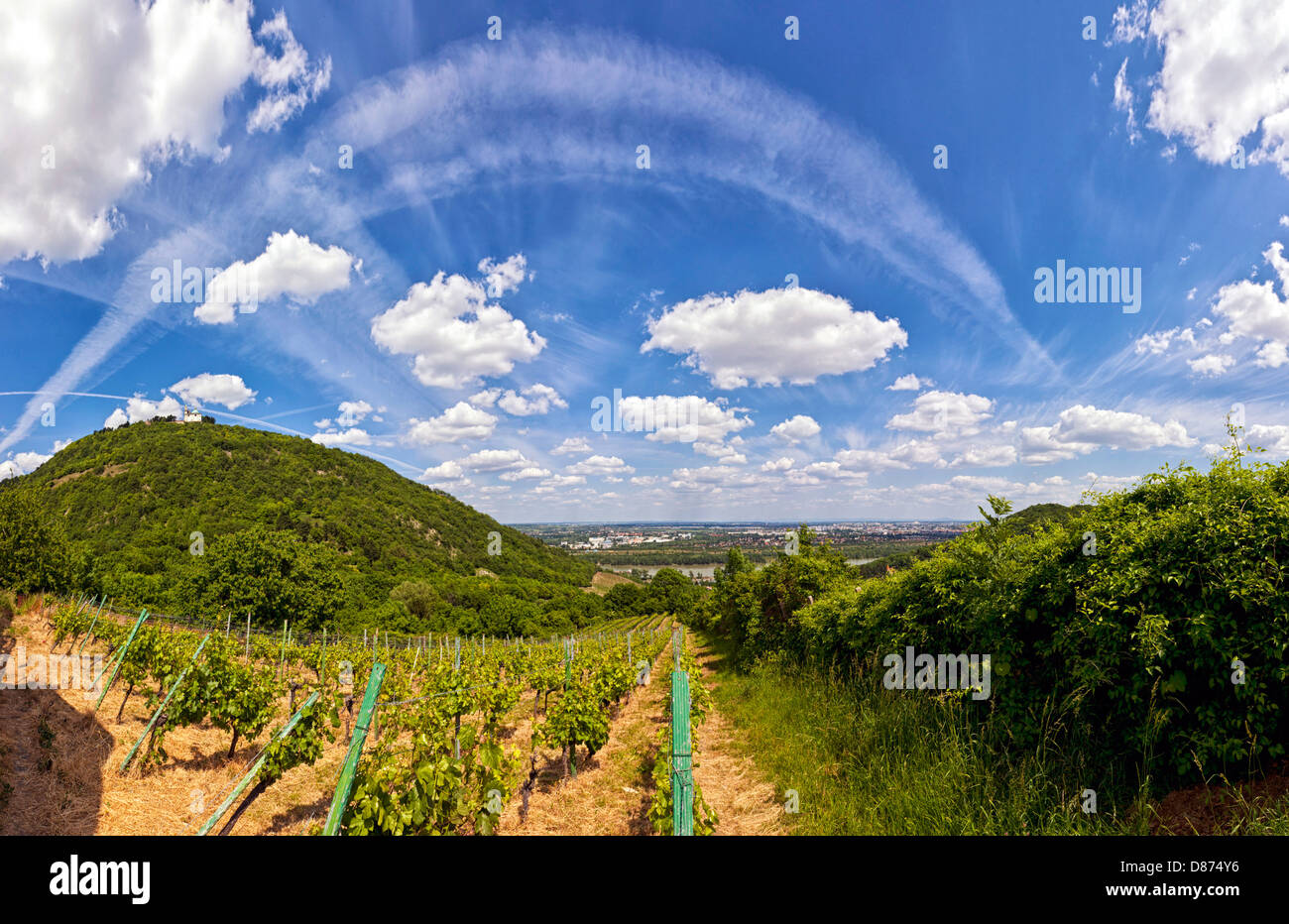 Blick über die Donau von Wien und die Saint Leopold Kirche am Leopoldsberg. Stockfoto