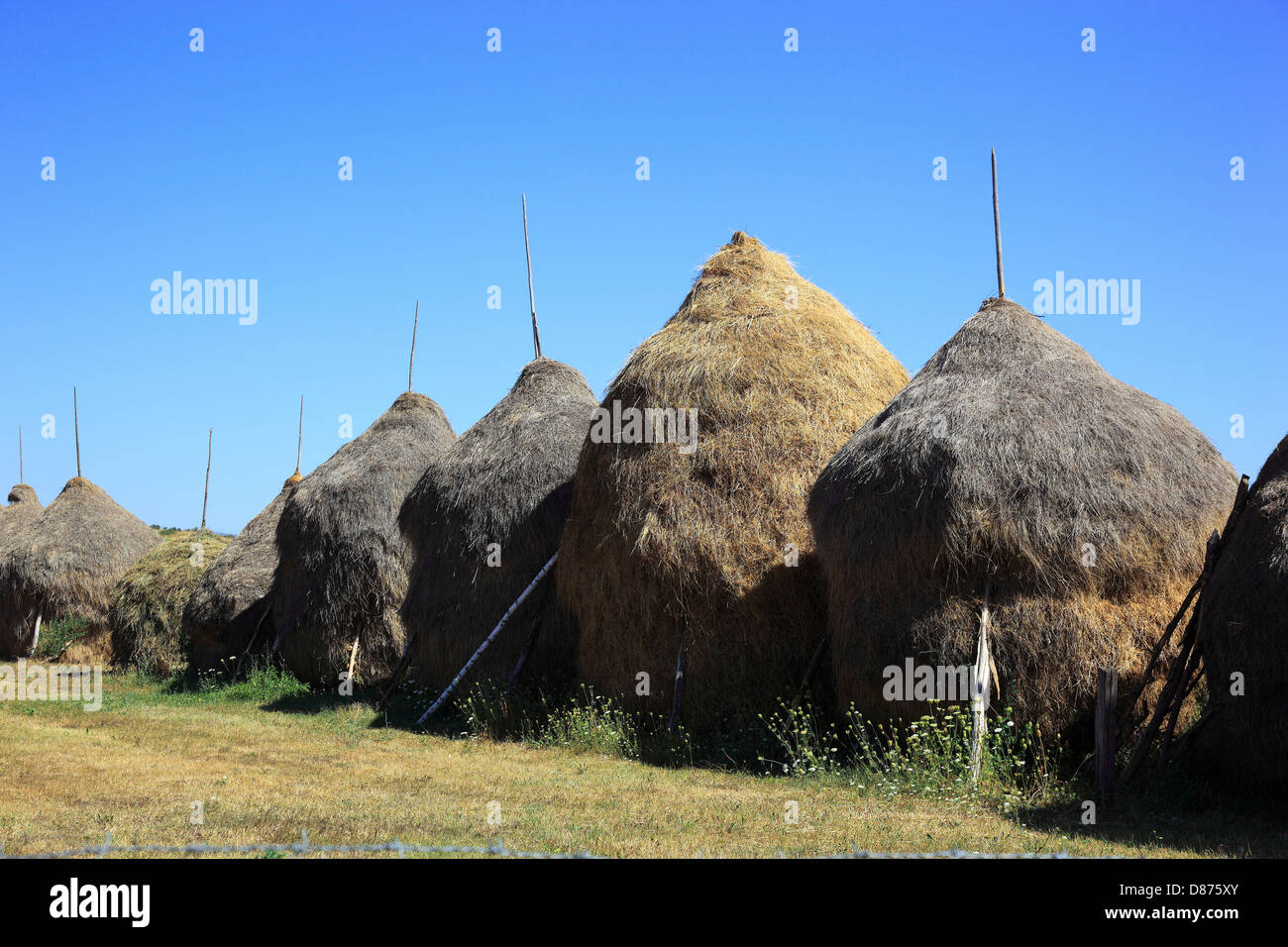Landwirtschaft in der Maramures, Rumänien, traditionelle Scheune