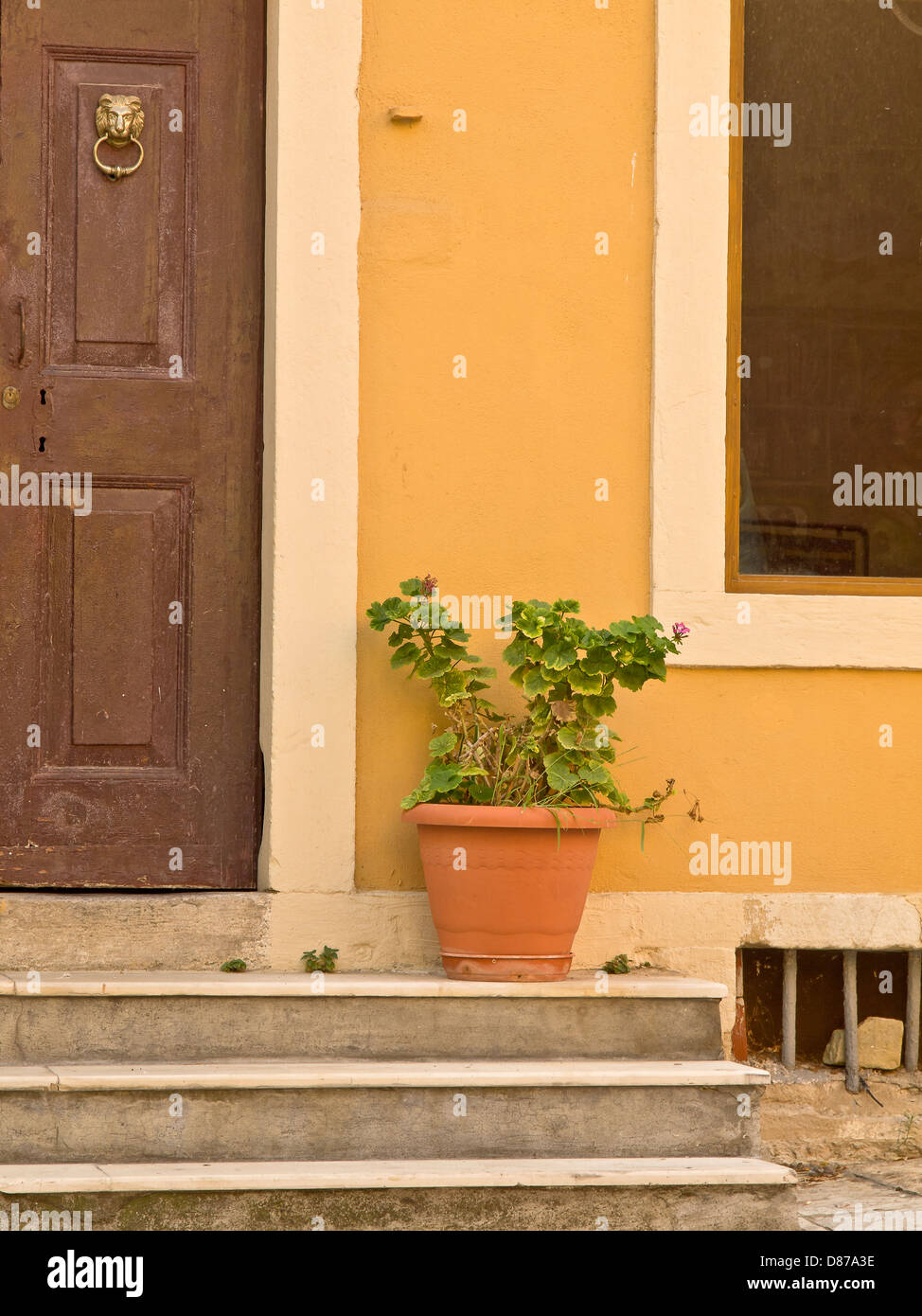 Künstlerischen Bild von den traditionellen Blumentopf vor der Haustür an Haustür, Corfu Stadt, Griechenland Stockfoto