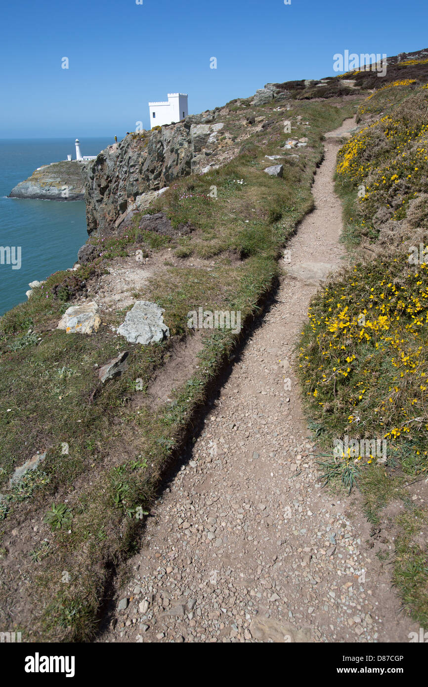 Wales Küstenweg in Nord-Wales. Malerische Aussicht auf Holly Insel West Küste Klippen. Stockfoto