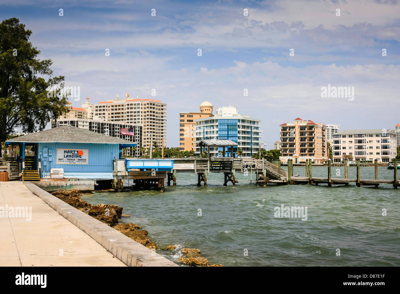 Die Innenstadt von Wolkenkratzern von Sarasota in Florida Stockfoto