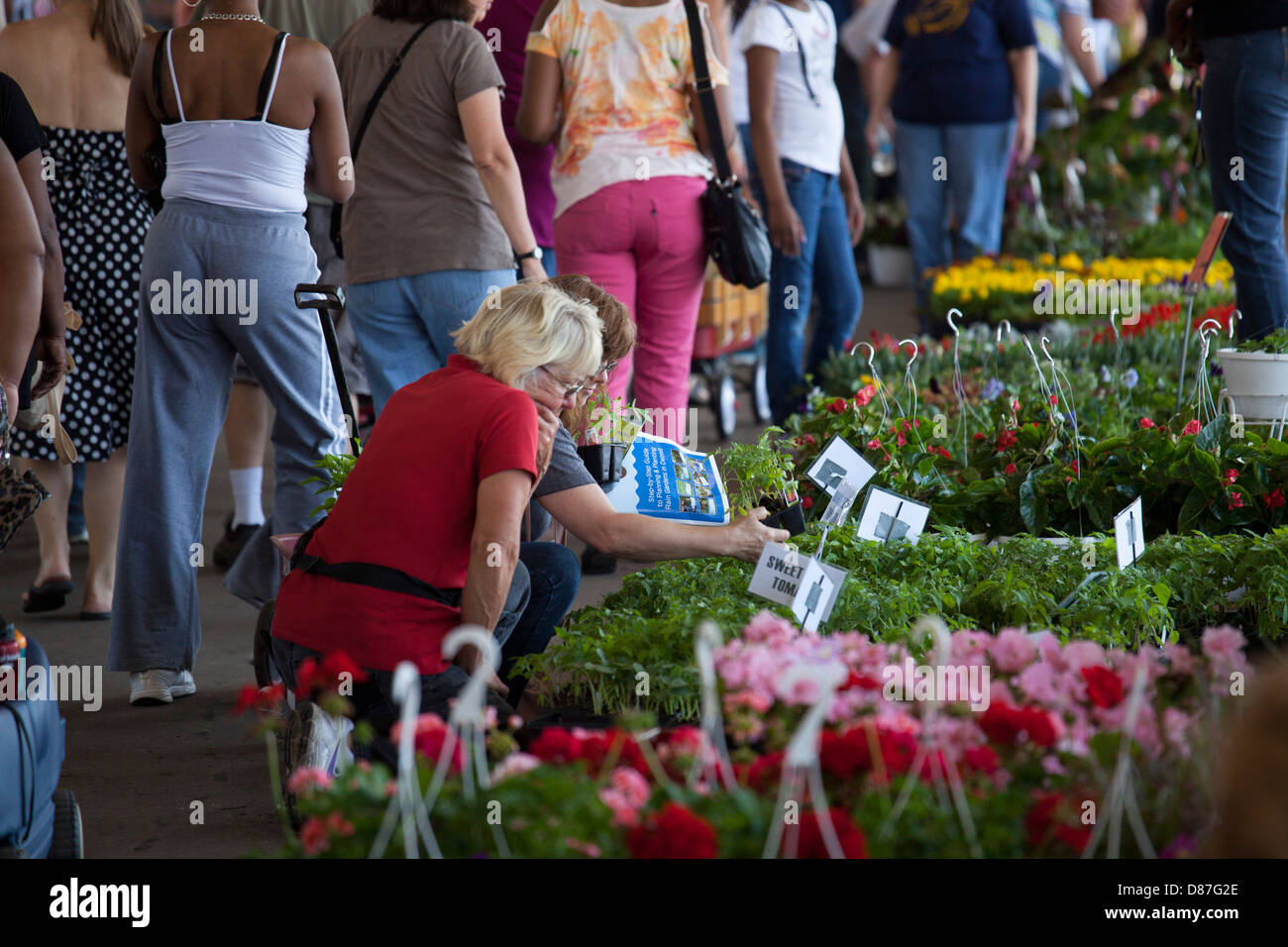 Blume-Tag auf Detroits östlichen (Bauern) Markt Stockfoto